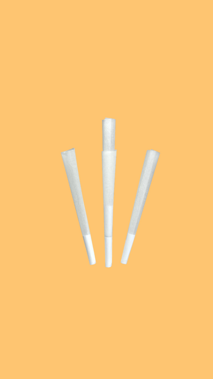 Sugar Cone Couture- White (8 Pack)